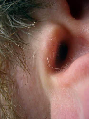 Implante de Ouvido vai ser Alimentado por Bateria Biológica Natural